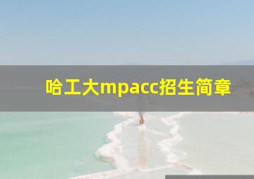 哈工大mpacc招生简章