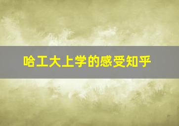 哈工大上学的感受知乎