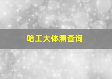 哈工大体测查询