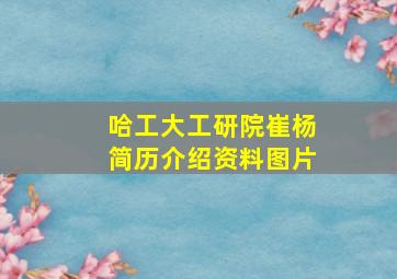 哈工大工研院崔杨简历介绍资料图片