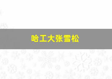 哈工大张雪松