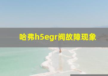 哈弗h5egr阀故障现象