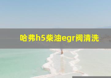 哈弗h5柴油egr阀清洗