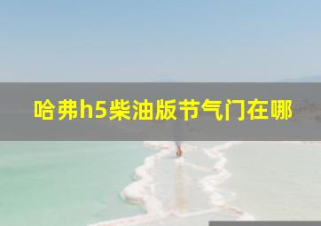 哈弗h5柴油版节气门在哪