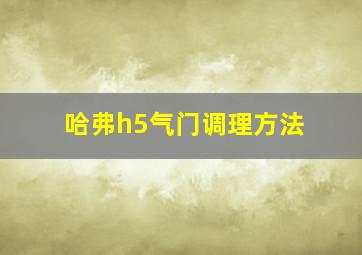 哈弗h5气门调理方法