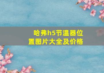 哈弗h5节温器位置图片大全及价格