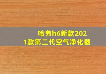 哈弗h6新款2021款第二代空气净化器