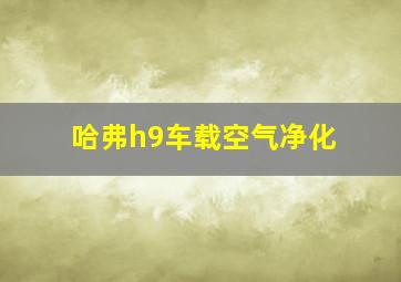 哈弗h9车载空气净化