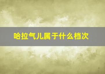 哈拉气儿属于什么档次