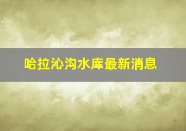 哈拉沁沟水库最新消息