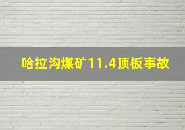 哈拉沟煤矿11.4顶板事故