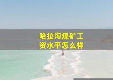 哈拉沟煤矿工资水平怎么样