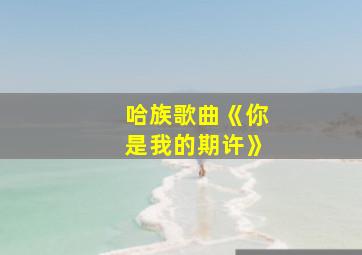 哈族歌曲《你是我的期许》