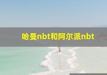 哈曼nbt和阿尔派nbt