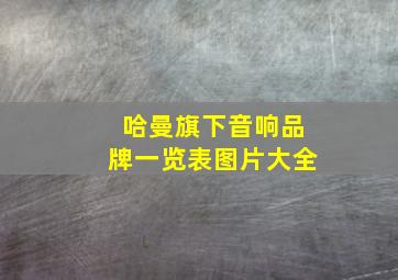 哈曼旗下音响品牌一览表图片大全