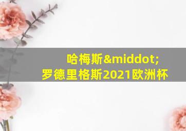 哈梅斯·罗德里格斯2021欧洲杯