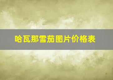 哈瓦那雪茄图片价格表