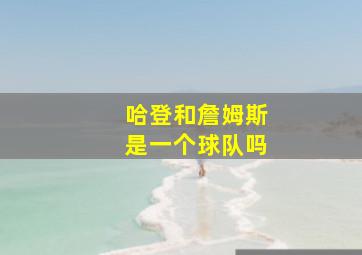 哈登和詹姆斯是一个球队吗