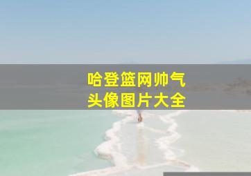 哈登篮网帅气头像图片大全