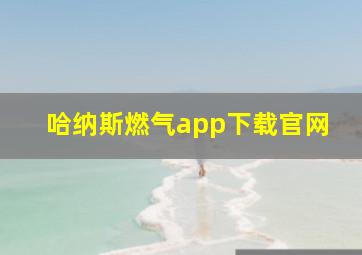 哈纳斯燃气app下载官网