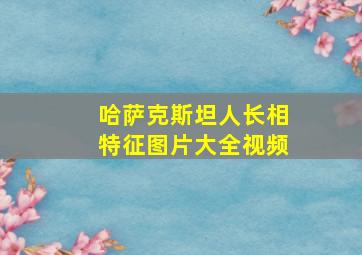 哈萨克斯坦人长相特征图片大全视频