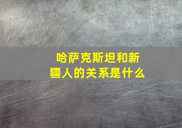 哈萨克斯坦和新疆人的关系是什么