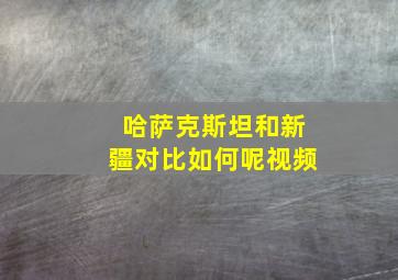 哈萨克斯坦和新疆对比如何呢视频