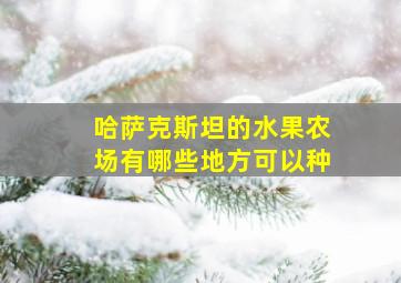 哈萨克斯坦的水果农场有哪些地方可以种