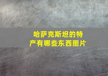 哈萨克斯坦的特产有哪些东西图片