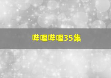 哔哩哔哩35集