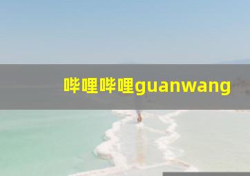 哔哩哔哩guanwang