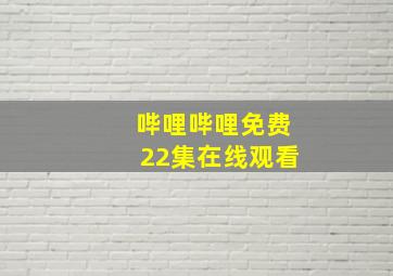 哔哩哔哩免费22集在线观看