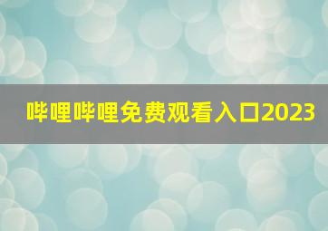 哔哩哔哩免费观看入口2023