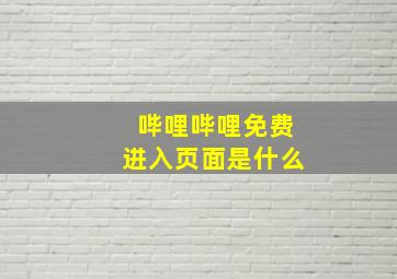 哔哩哔哩免费进入页面是什么