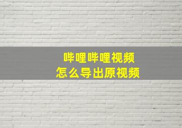 哔哩哔哩视频怎么导出原视频