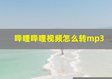 哔哩哔哩视频怎么转mp3