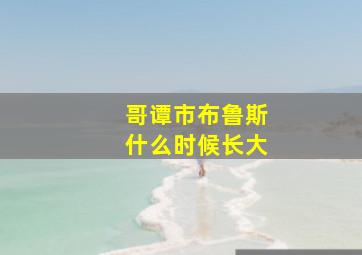 哥谭市布鲁斯什么时候长大