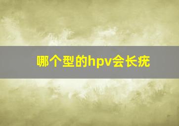 哪个型的hpv会长疣