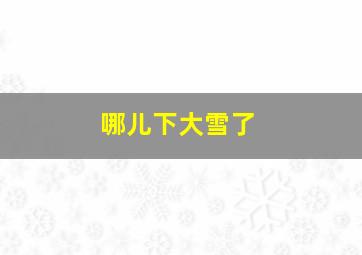 哪儿下大雪了