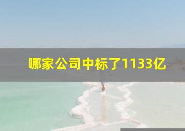 哪家公司中标了1133亿