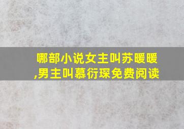 哪部小说女主叫苏暖暖,男主叫慕衍琛免费阅读