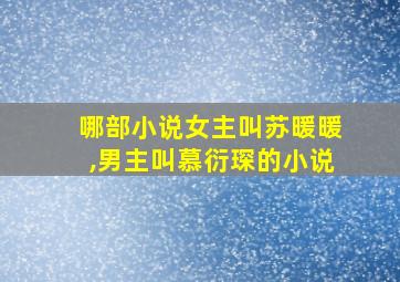 哪部小说女主叫苏暖暖,男主叫慕衍琛的小说