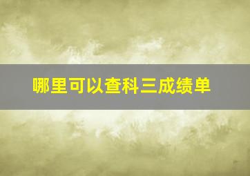 哪里可以查科三成绩单