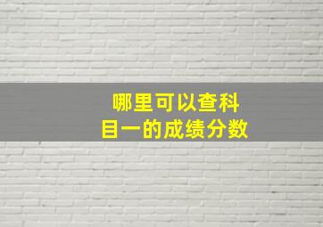 哪里可以查科目一的成绩分数