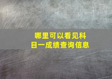 哪里可以看见科目一成绩查询信息