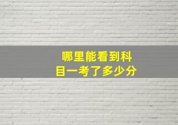 哪里能看到科目一考了多少分