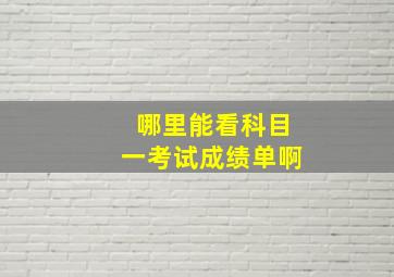 哪里能看科目一考试成绩单啊