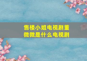 售楼小姐电视剧董微微是什么电视剧