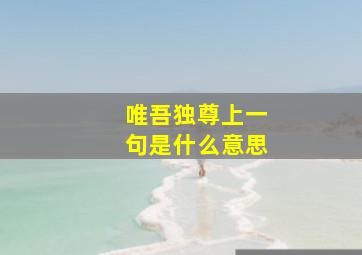 唯吾独尊上一句是什么意思