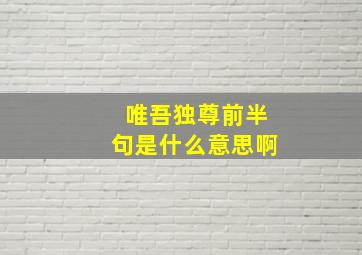 唯吾独尊前半句是什么意思啊